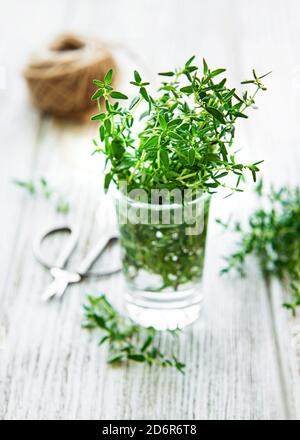 Vue rapprochée du bouquet de thym. Thym vert dans un verre Banque D'Images