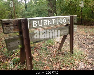 Panneau de bois brûlé Forest of Dean Banque D'Images