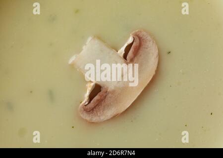 Soupe de champignons au champignon sur tout le fond Banque D'Images