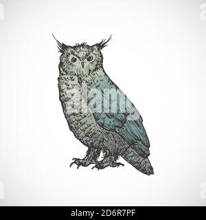 Dessin main coloré Halloween effrayant Owl illustration vectorielle. Esquisse abstraite d'oiseau. Dessin style Doodle des fêtes. Illustration de Vecteur