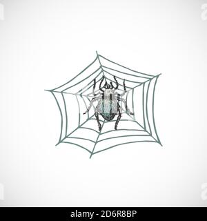 Spider d'Halloween coloré dessiné à la main sur l'illustration du vecteur Web. Esquisse abstraite. Mise en plan de style d'engraving des fêtes. Illustration de Vecteur