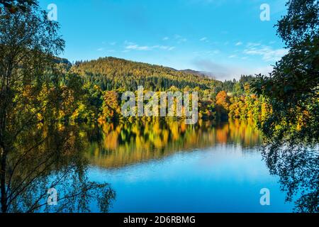 Arbres de la rivière Tummel aux couleurs automnales époustouflantes dans la ville de Pitlochry, Perthshire, Écosse, Royaume-Uni Banque D'Images