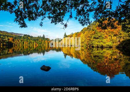 Arbres de la rivière Tummel aux couleurs automnales époustouflantes dans la ville de Pitlochry, Perthshire, Écosse, Royaume-Uni Banque D'Images