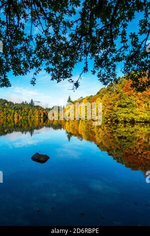 Arbres de la rivière Tummel aux couleurs automnales époustouflantes dans la ville de Pitlochry, Perthshire, Écosse, Royaume-Uni Banque D'Images