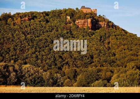 château de Nideggen au-dessus de la vallée de Rur, Allemagne, Rhénanie-du-Nord-Westphalie, Eifel, Nideggen Banque D'Images