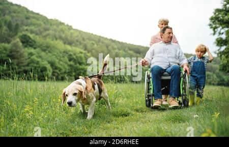 Petits enfants avec grands-parents et chien sur une promenade dans la prairie dans la nature. Banque D'Images