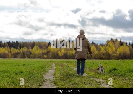 Femme adulte de taille moyenne marchant avec un beagle sur le terrain. Banque D'Images