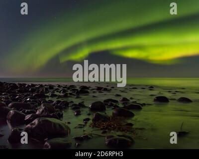 Northern Lights sur Unstad Beach , île Vestvagoy. Les îles Lofoten, dans le nord de la Norvège au cours de l'hiver. L'Europe, Scandinavie, Norvège, Février Banque D'Images