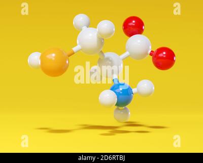 Cystéine (l-cystéine, Cys, C) molécule d'acide aminé. Rendu 3D. Modèle moléculaire de bille et de bâton avec des atomes représentés par des sphères de couleur: Hydrogène (whi Banque D'Images