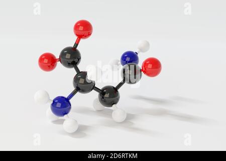 Molécule d'acide aminé d'asparagine (L-asparagine, ASN, N). Rendu 3D. Modèle moléculaire à bille et à bâton avec codage couleur classique. Arrière-plan blanc. Banque D'Images