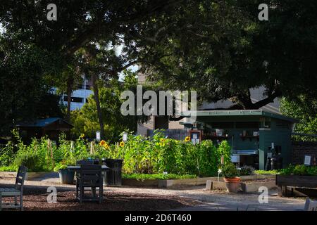 Jardin urbain, Halloween, Fontaine, Construction, Eglise Huguenot, cimetière, citrouille à la fenêtre, pun avec légumes. Banque D'Images