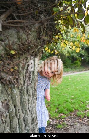 Jeune fille de 3 ans jouant dans le parc local de Brighton Le Royaume-Uni a l'air d'être caché derrière un arbre Banque D'Images