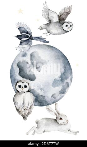 Illustration réaliste de la faune scandinave représentant un hibou, un lapin et une lune dessinés à la main sur fond blanc Banque D'Images