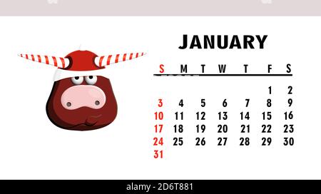 calendrier 2021. Année du taureau. Buffle animal, vache. Un drôle de taureau d'hiver isolé sur un fond blanc. Symbole de 2021. Illustration. Janvier Banque D'Images