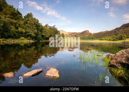 Jour d'été à Blea Tarn dans le Lake District, Cumbria Angleterre Royaume-Uni Banque D'Images