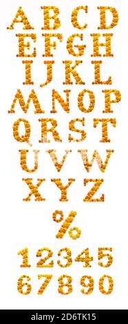 Numéro anglais, chiffre ou alphabet fait avec marigold ou zendu de fleurs Banque D'Images