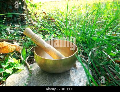 Bol de chant placé sur un rocher au fond de un tronc d'arbre avec de l'herbe en arrière-plan Banque D'Images