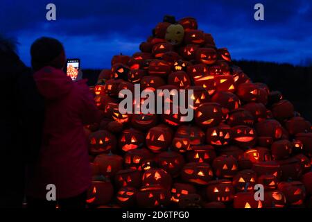 Personnes en visite à Halloween Pumpkin événement, du 14 au 25 octobre, au Rannikko Market Garden à Halikko, Salo, Finlande. 17 octobre 2020. Banque D'Images