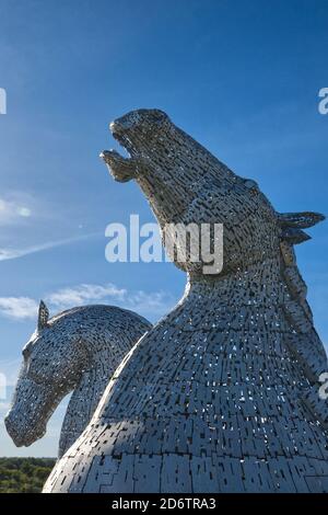 Les Kelpies Banque D'Images