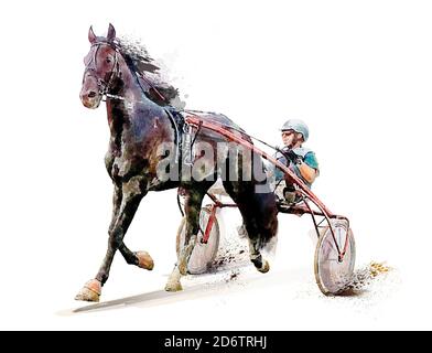 Cheval. Sports équestres. Course Trotter. Jockey. Course de harnais. Illustration de peinture aquarelle. Isolé sur fond blanc Hippodrome Banque D'Images