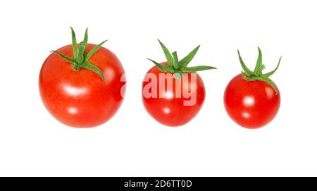 Tomate isolée sur fond blanc. Trois tomates rouges fraîches avec passe-cheveux. Tomates cerises. Banque D'Images