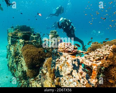 Un récif artificiel regorgeant de poissons. Photo d'un récif de la mer Rouge, Egypte Banque D'Images