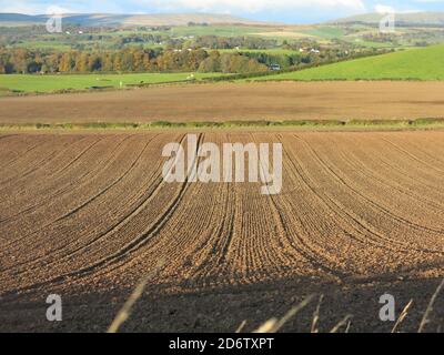 En regardant vers le nord vers les Fells de CAMPSIE à travers les champs labourés au début de l'automne; la campagne du centre de l'Écosse juste à l'extérieur de Bearsden, Glasgow. Banque D'Images