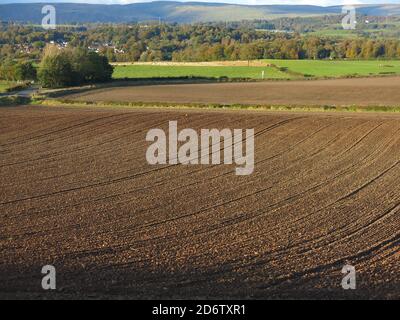 En regardant vers le nord vers les Fells de CAMPSIE à travers les champs labourés au début de l'automne; la campagne du centre de l'Écosse juste à l'extérieur de Bearsden, Glasgow. Banque D'Images