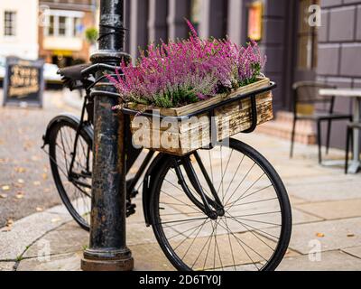 Plantes dans le vieux vélo contre le lampadaire. Banque D'Images