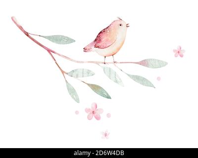 Oiseau de printemps sur branche en fleur avec des feuilles et des fleurs vertes. Aquarelle carte d'invitation de mariage Blossom peinture. Motif couronne rose dessiné à la main Banque D'Images