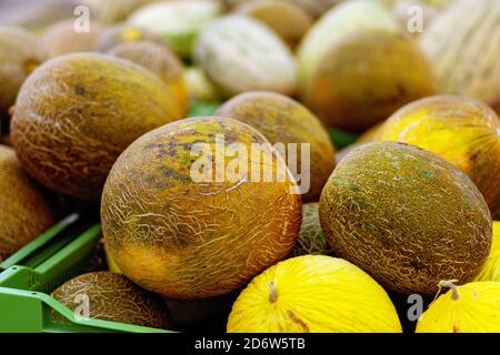 pile de différentes sortes de melons à vendre dans l'épicerie stocker Banque D'Images