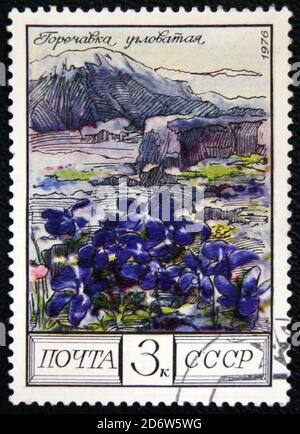 MOSCOU, RUSSIE - 7 JANVIER 2017 : un timbre imprimé en Russie montre Gentian, Gentiana, plante florale du Caucase, vers 1976 Banque D'Images