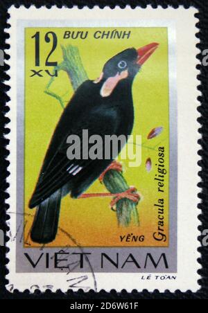 MOSCOU, RUSSIE - 7 JANVIER 2017 : un timbre imprimé au Vietnam montre un oiseau assis (Gracula religiosa), série 'Songbirds', vers 1978 Banque D'Images