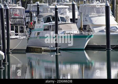 AUCKLAND, NOUVELLE-ZÉLANDE - 13 juin 2019 : Auckland / Nouvelle-Zélande - 13 2019 juin : vue sur le bateau à moteur de luxe stationné dans la marina Banque D'Images