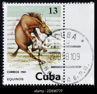 MOSCOU, RUSSIE - 12 FÉVRIER 2017 : un timbre imprimé à Cuba montre Horse, Equus Ferus caballus, vers 1981 Banque D'Images