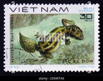 MOSCOU, RUSSIE - 12 FÉVRIER 2017 : un timbre imprimé par le Vietnam montre le Lizard Carrot-tail Viper Gecko - Teratolepis fasciata, timbre issu de la série, Banque D'Images
