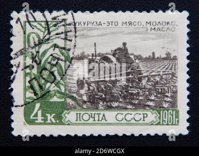 MOSCOU RUSSIE - 25 NOVEMBRE 2012 : un circa russe montre que l'homme plante du maïs. Vers 1961 Banque D'Images