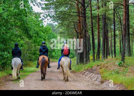 Trois femmes à cheval sur une route de terre dans une forêt. Banque D'Images