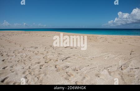 Majestueuses eaux de la mer des Caraïbes à la plage de Sandy point à Frederiksted sur Sainte-Croix lors d'une journée ensoleillée dans les îles Vierges américaines Banque D'Images