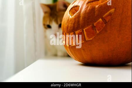 La forme de chat Cheshire sculptée citrouille d'Halloween sur le rebord de la fenêtre Banque D'Images