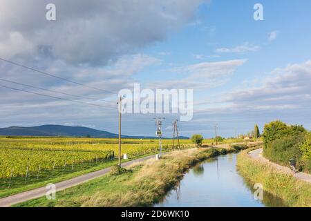 Baden: Wiener Neustädter Kanal (canal Wiener Neustadt), vignoble de Wienerwald, Bois de Vienne, Niederösterreich, Basse-Autriche, Autriche Banque D'Images