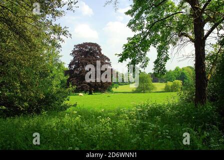 Château Ashby Pastoral Banque D'Images