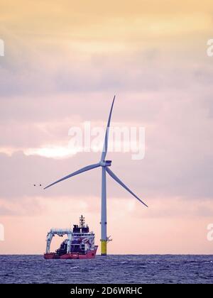 Soutenir le navire Assister debout près des éoliennes pour l'aider La mer du Nord au large de Blyth à l'aube Banque D'Images