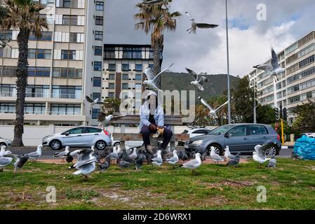 Homme africain nourrissant des mouettes tout en étant assis sur un banc au parc de Sea point. Banque D'Images