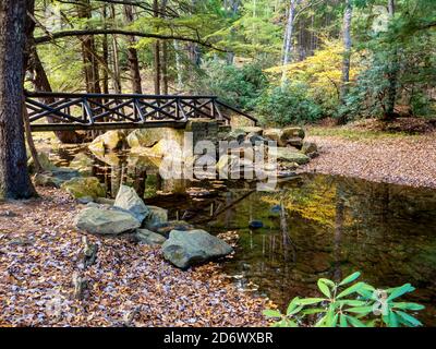 Un pont traversant la crique au parc national de Clear Creek près de Clarion, Pennsylvanie, à l'automne, avec des feuilles d'arbre sur tout le sol et des feuilles d'automne Banque D'Images