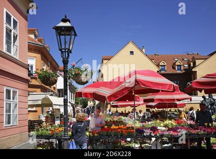 Place du marché de la ville de Zagreb. La Croatie Banque D'Images