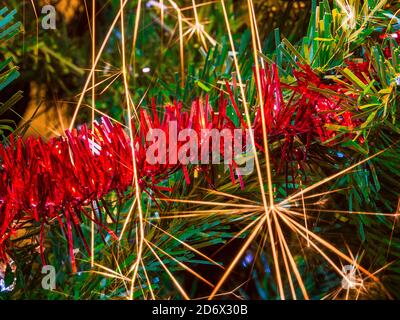 Gros plan de la chaîne de Noël décorative rouge sur l'arbre de Noël avec de belles étincelles de la part des flambeaux. Banque D'Images