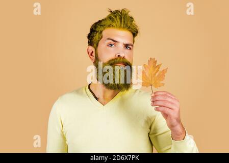 Les gens de l'automne. Homme de mode avec feuilles d'érable jaune sur fond jaune. Feuilles d'automne. Homme d'automne avec humeur automnale. Banque D'Images