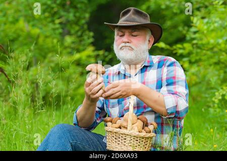 Grand-père avec champignons dans le champignon de chasse de bucket. Retraité avec panier de champignons et une expression faciale surprise. Banque D'Images