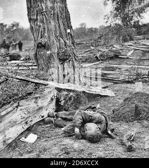 Antietam, Maryland. Fédéral enterré, confédéré non enterré, où ils sont tombés. Guerre civile américaine, 1862 Banque D'Images